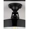 Progress Lighting Cedar Springs Collection Black One-Light Semi-Flush Mount P550070-031 - alternate 3